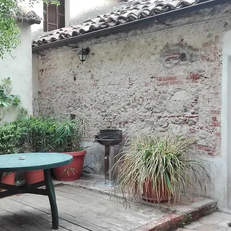 L'albero Di Giuggiole Cosenza