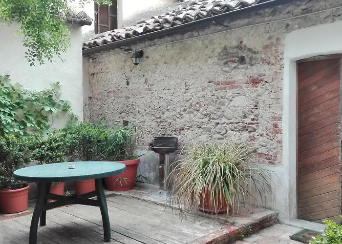 L'albero Di Giuggiole Cosenza