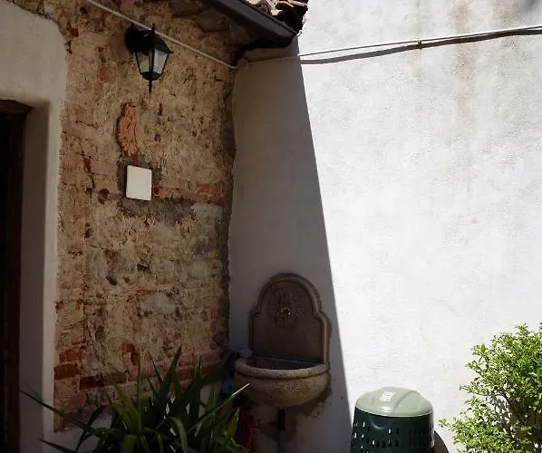 L'albero Di Giuggiole Cosenza