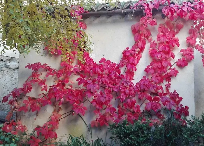 L'albero Di Giuggiole Villa *